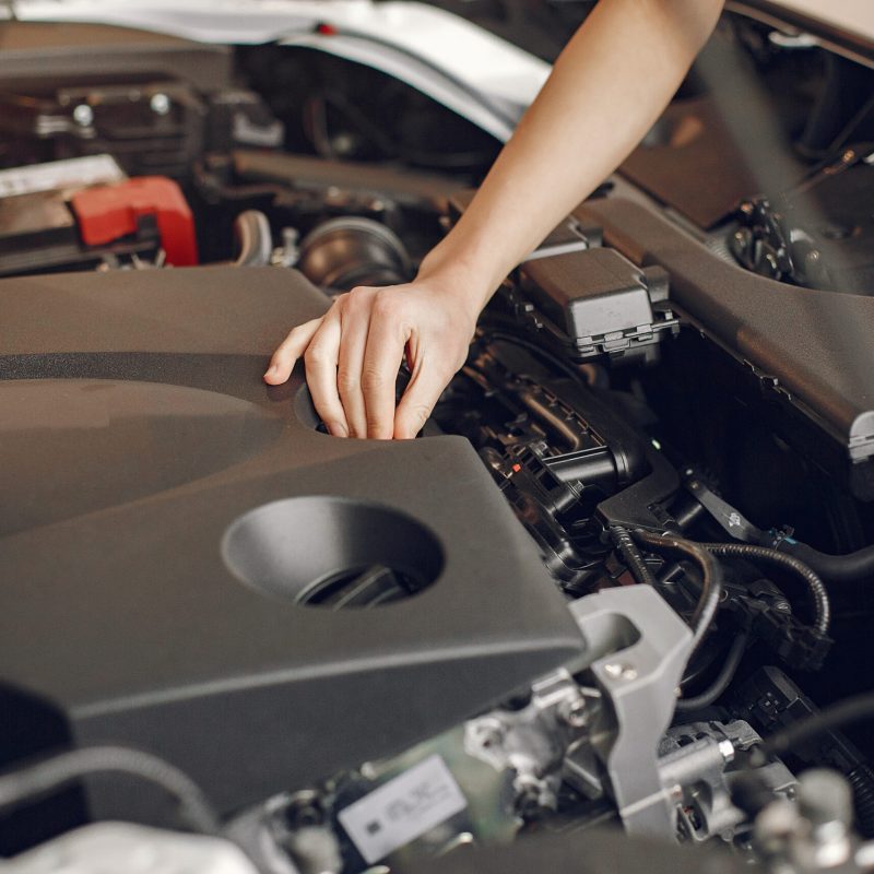 Woman in a car salon. Girl in black dress. Lady buy a car.